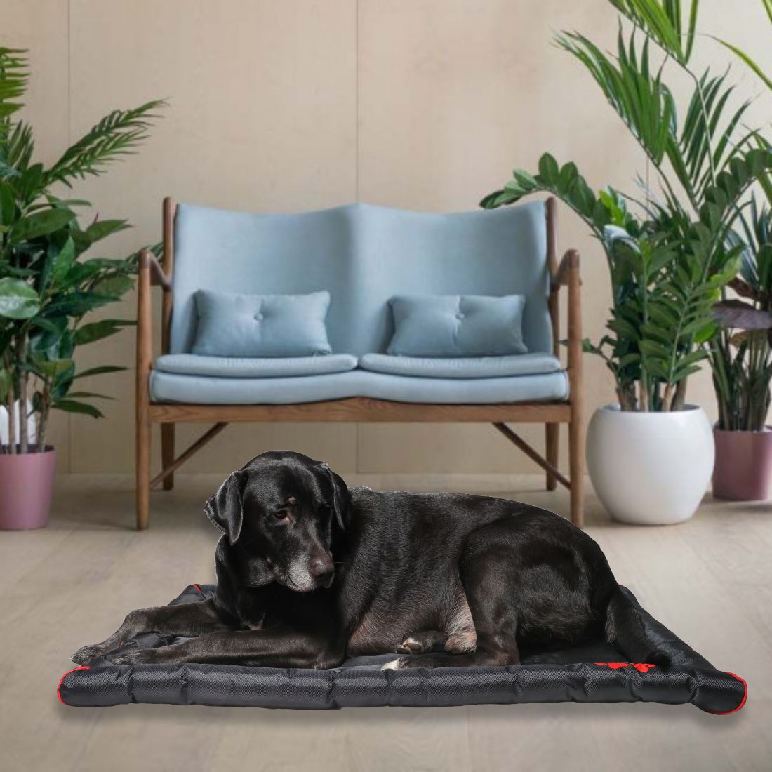 Waterproof Dog Mat with Padded Perimeters for Head & Paw Support