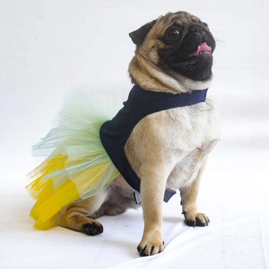 Pawgy Pets Denim Frill Dress for Dogs