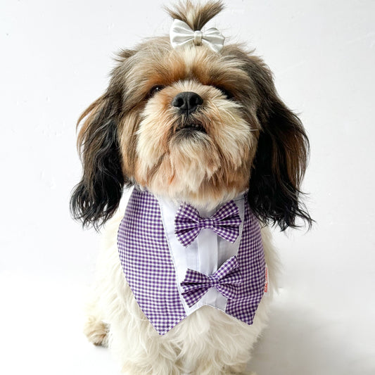 Pawgy Pets Casual Check Bandana: Purple for Dogs & Cats