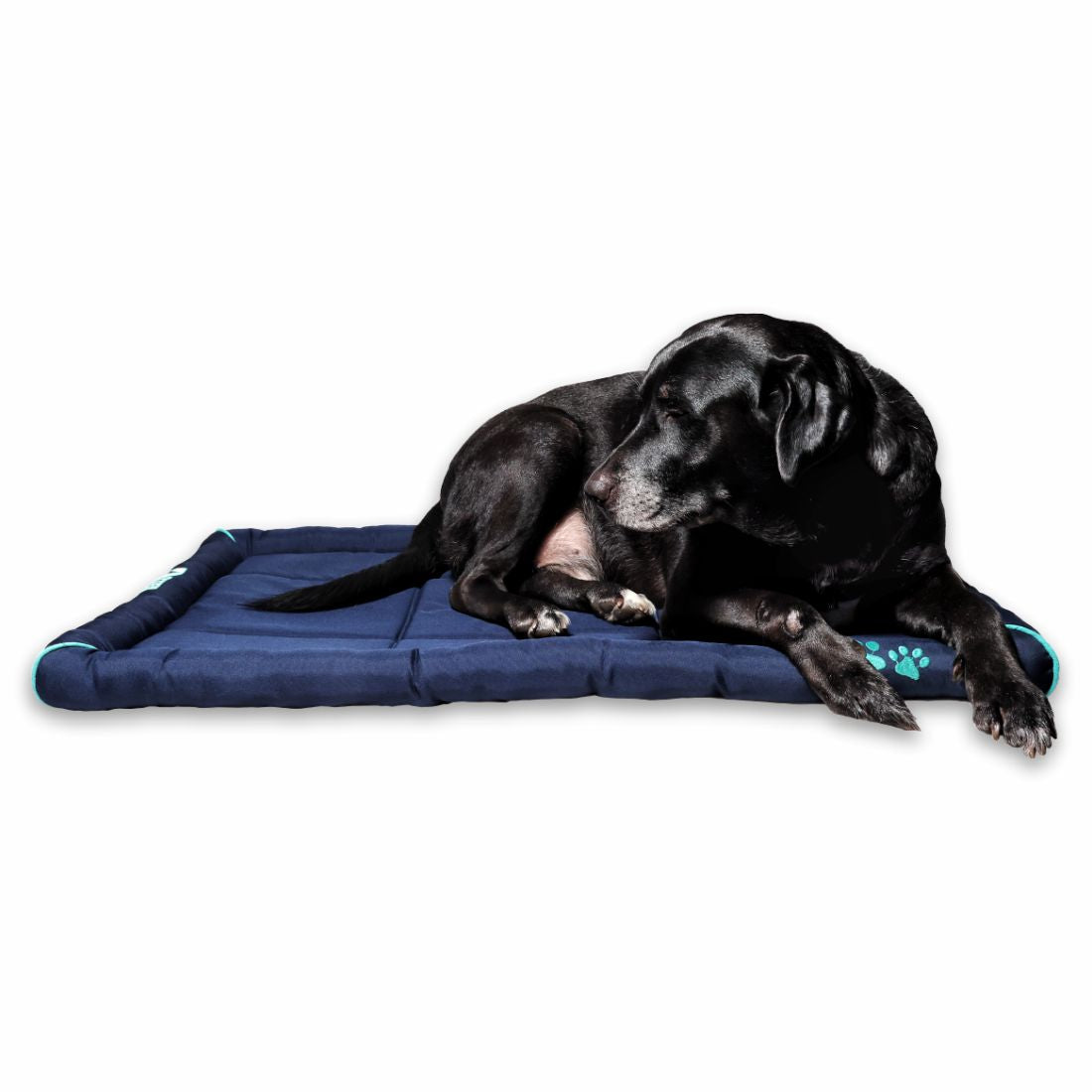 Waterproof Dog Mat with Padded Perimeters for Head & Paw Support