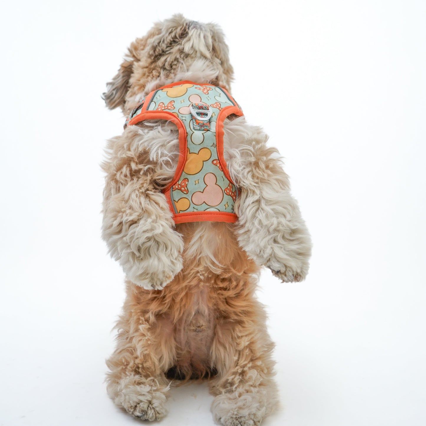 Pawgy Pets Padded Harness Mickey