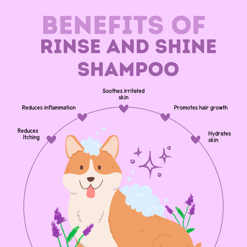 Organic Rinse and Shine Shampoo