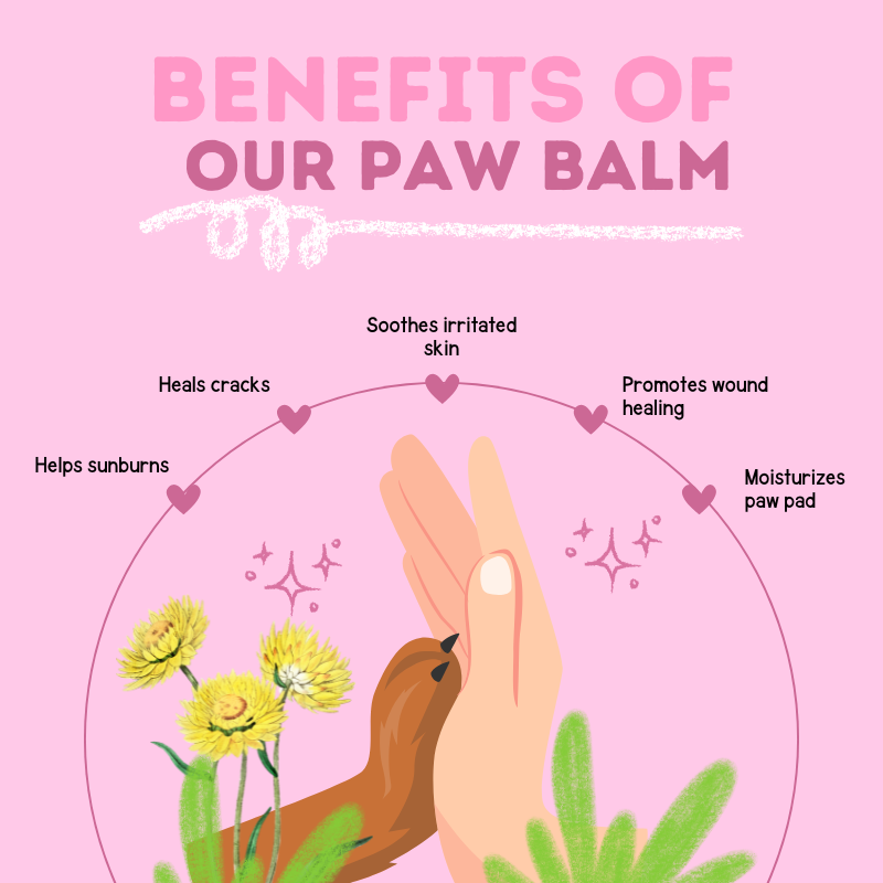 Organic Paw Balm