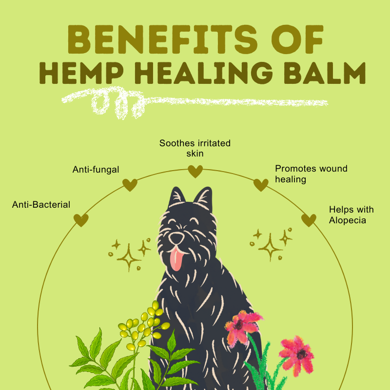 Hemp Healing Balm