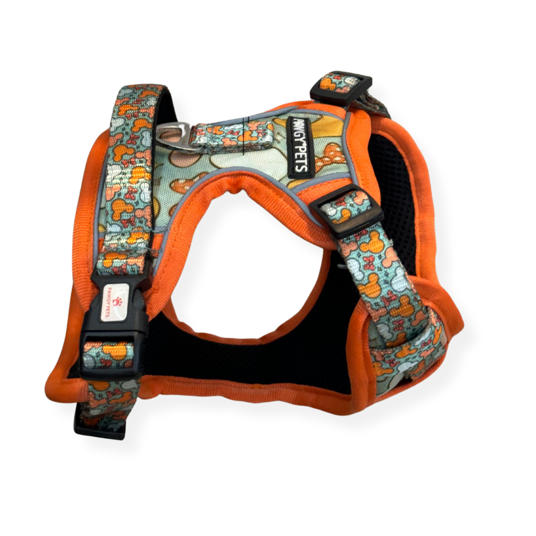 Pawgy Pets Padded Harness Mickey