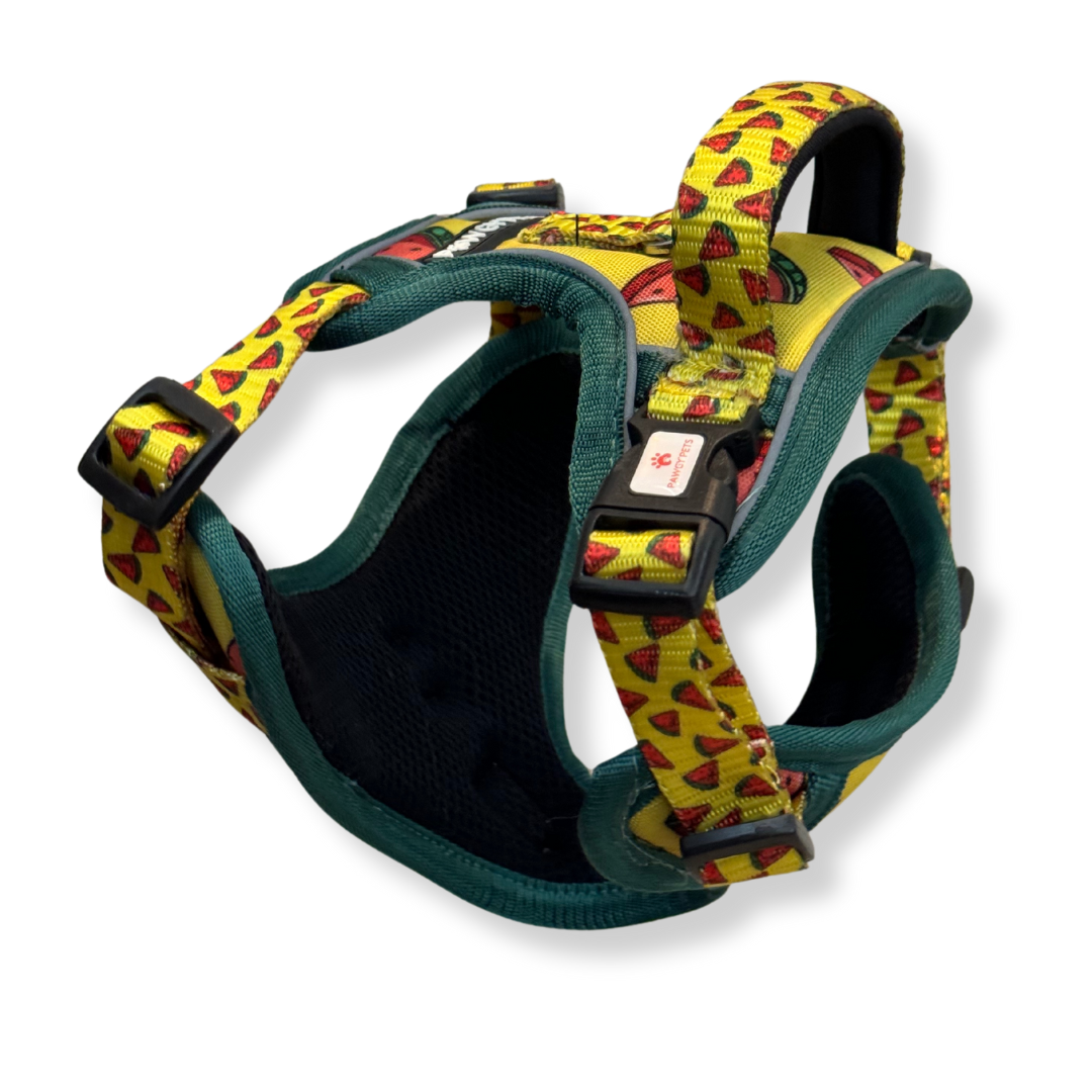 Pawgy Pets Padded Harness Watermelon