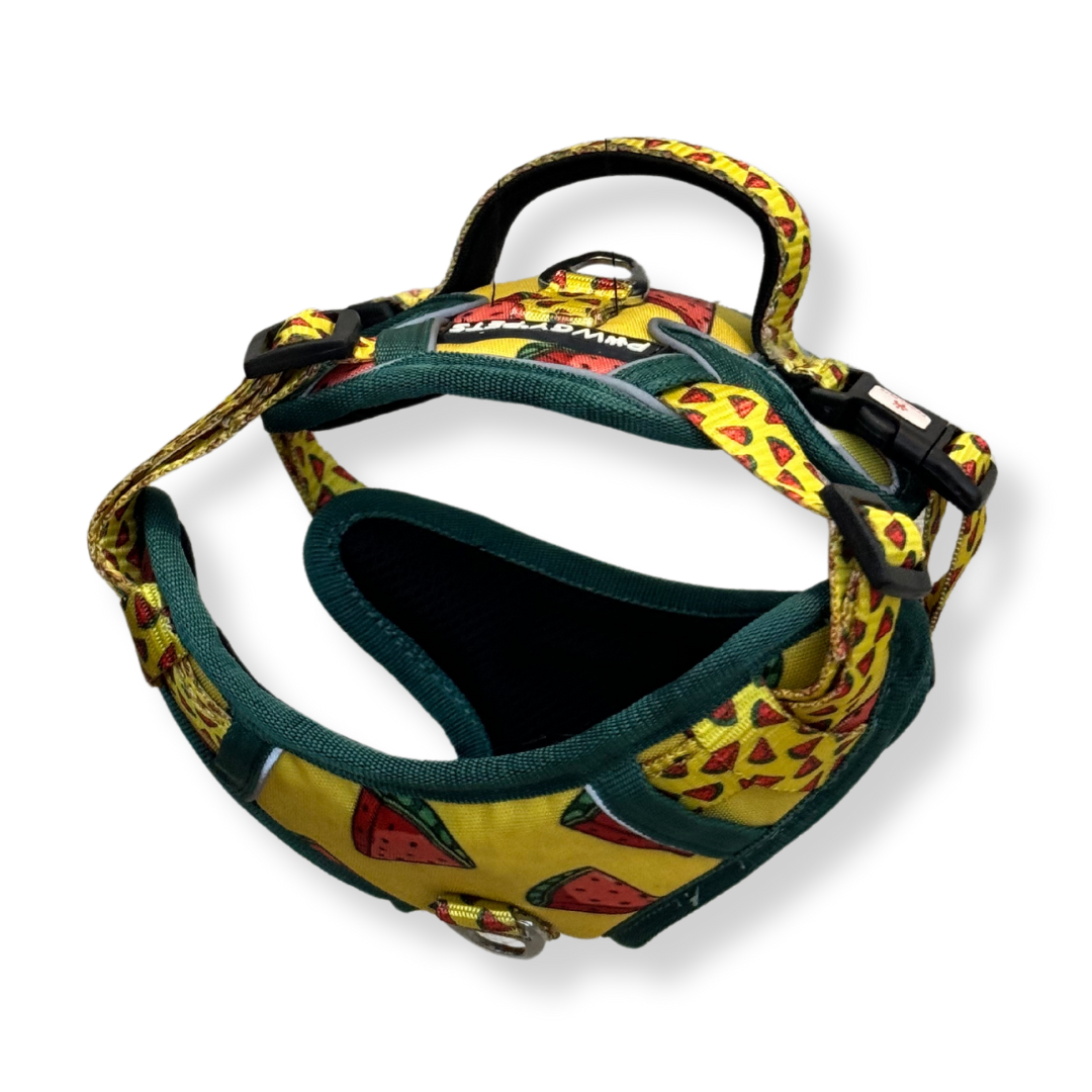 Pawgy Pets Padded Harness Watermelon