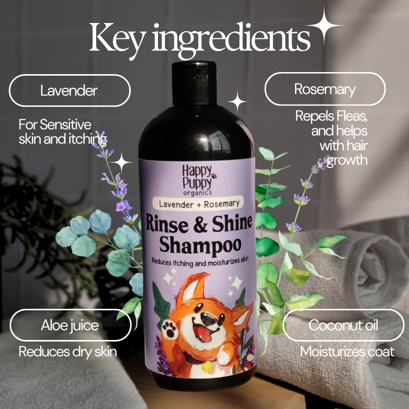 Organic Rinse and Shine Shampoo