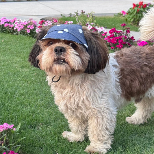 Pawgy Pets Dog Cap: Denim Polka for Dog & Cats