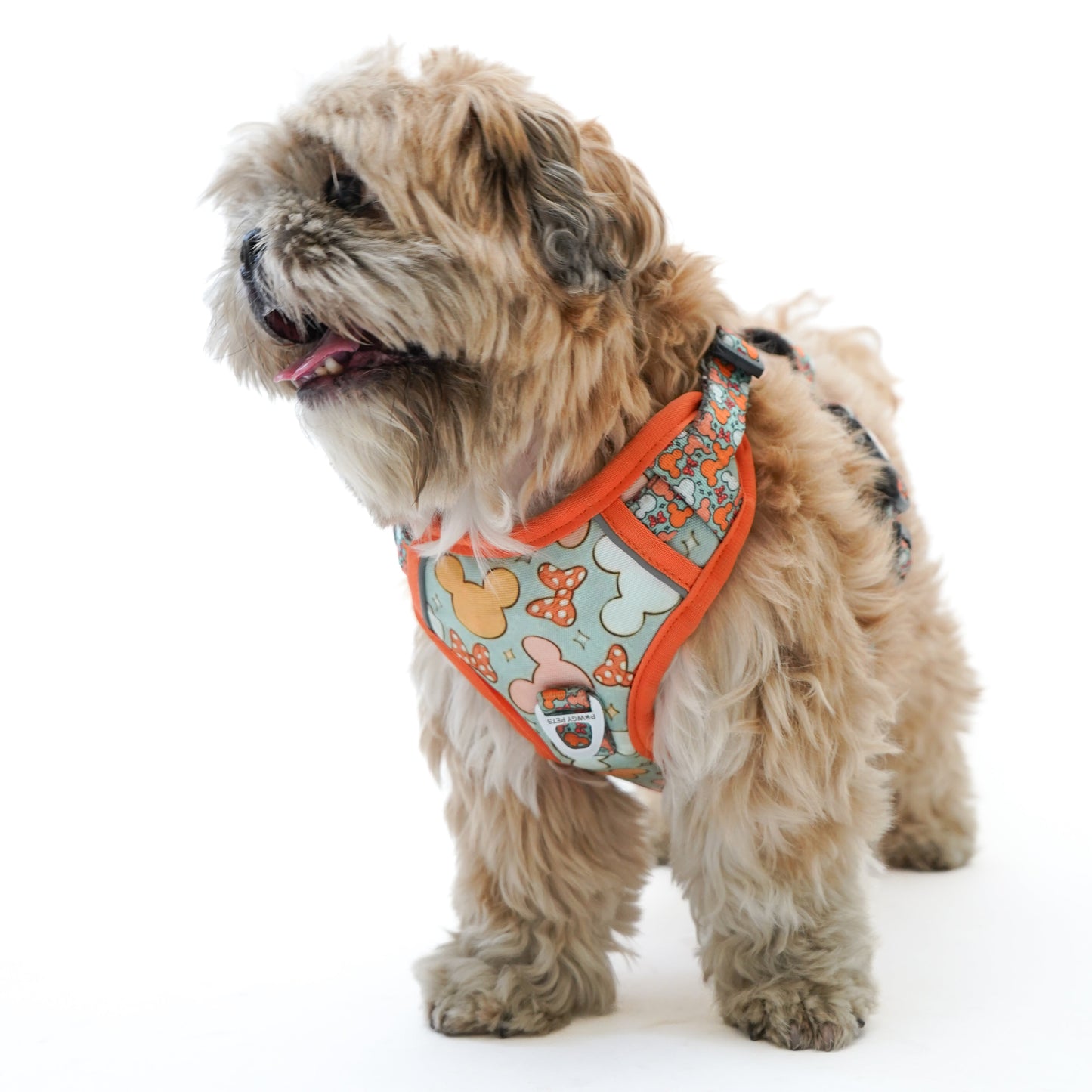 Pawgy Pets Padded Harness Mickey