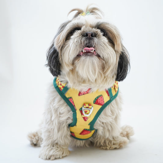 Pawgy Pets Padded Harness Watermelon