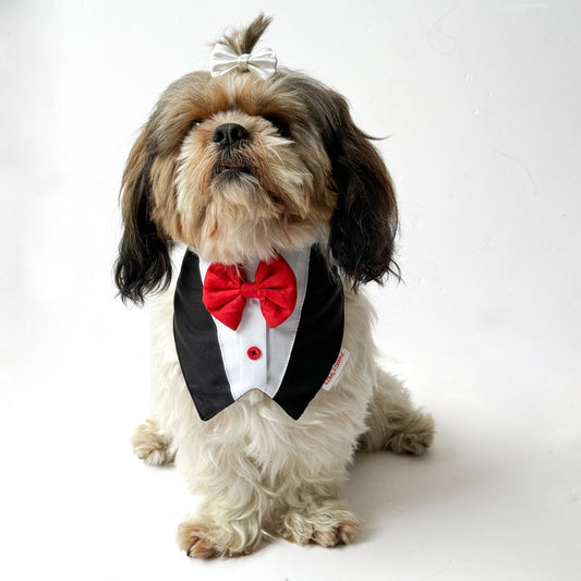 Pawgy Pets Formal Tux Bandana: Black for Dogs & Cats