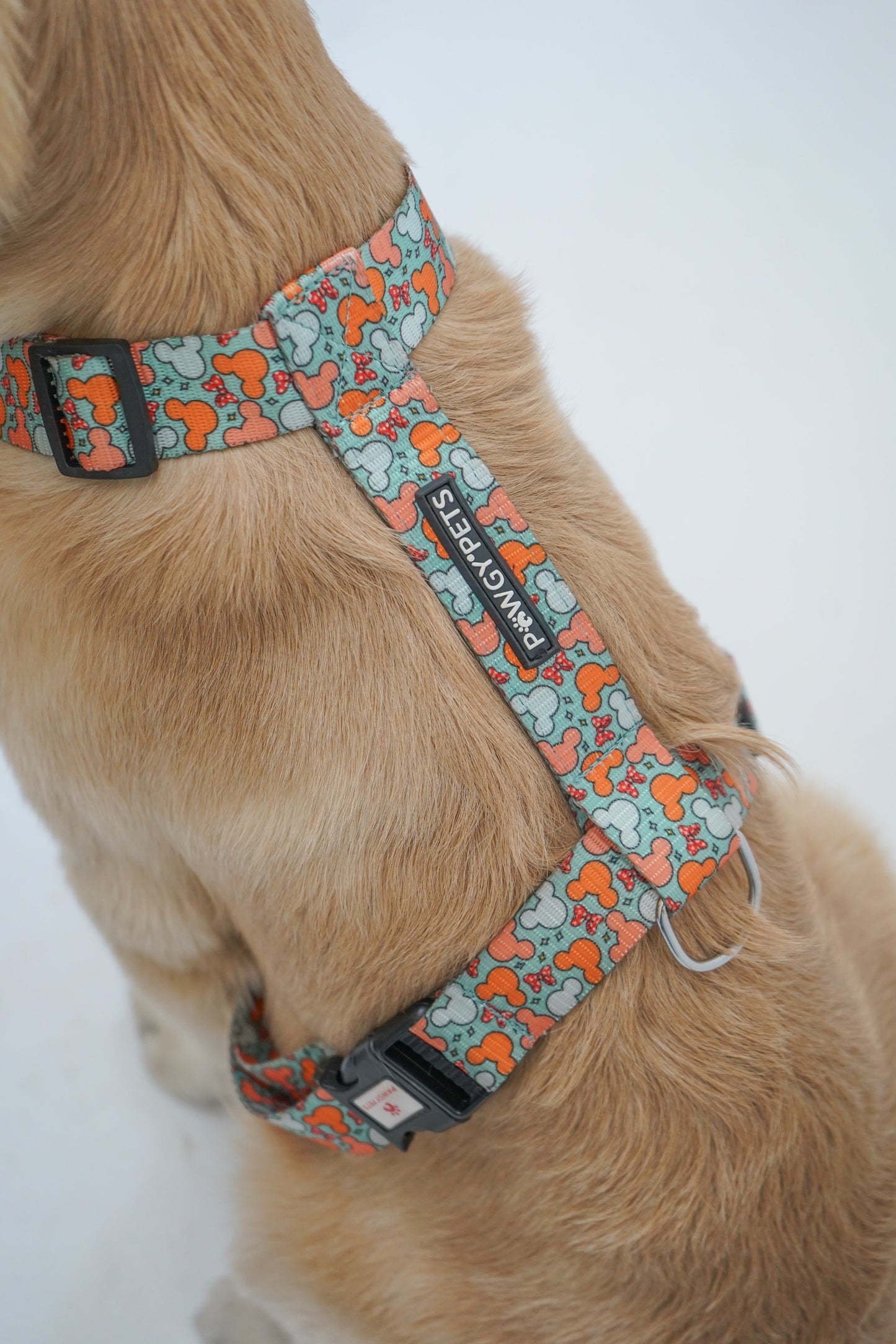 Pawgy Pets H-Harness Mickey Pastel Green for Dogs and Cats