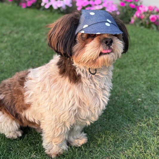Pawgy Pets Dog Cap: Denim Polka for Dog & Cats