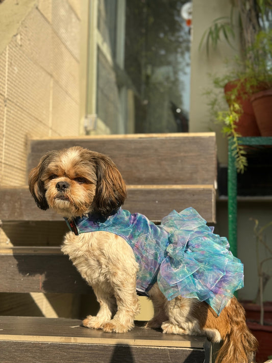 Pawgy Pets Frilly Dress Blue for Dogs