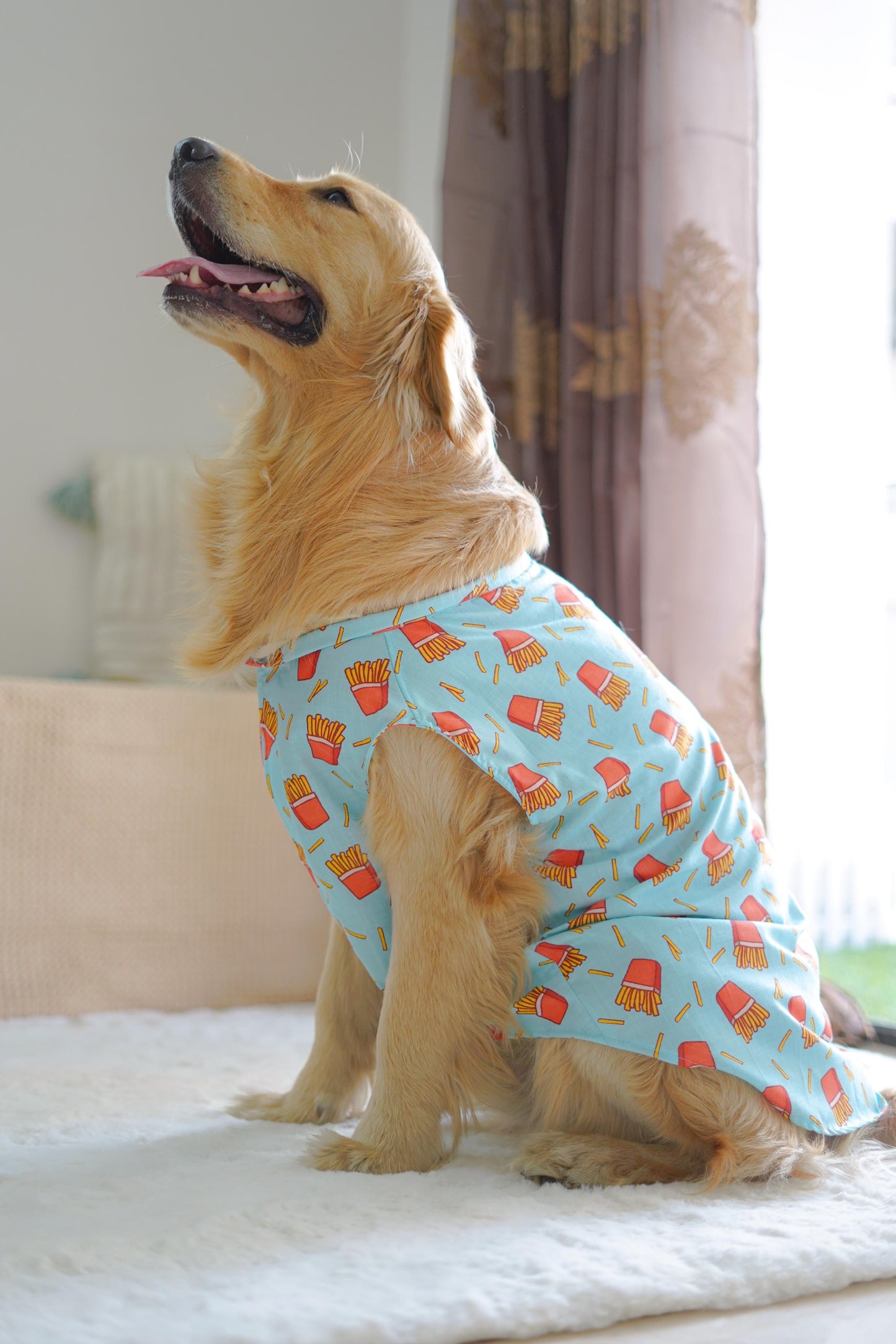 Pawgy Pets Fries over guys Sando Blue for Dogs