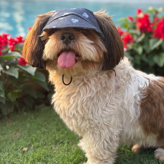 Pawgy Pets Dog Cap: Denim Minnie for Dog & Cats