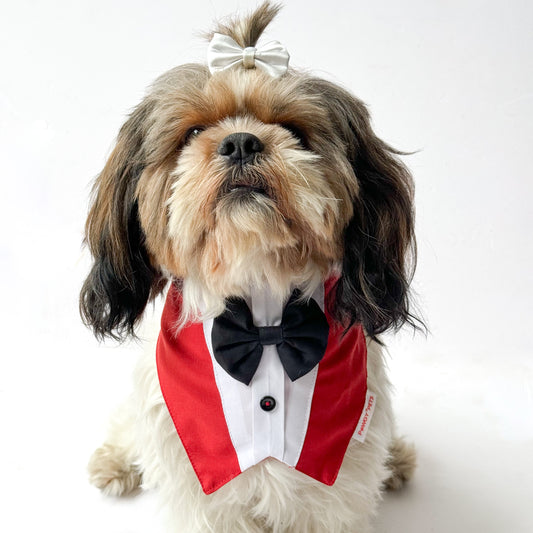 Pawgy Pets Formal Tux Bandana: Red for Dogs & Cats