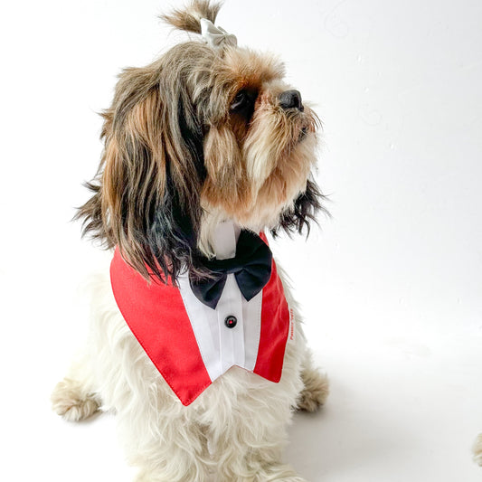 Pawgy Pets Formal Tux Bandana: Red for Dogs & Cats