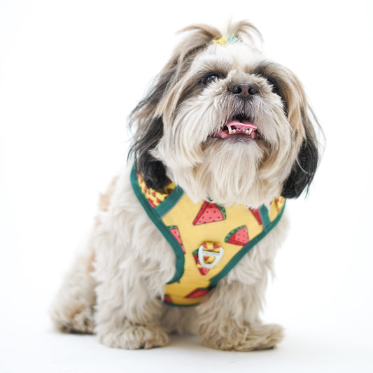 Pawgy Pets Padded Harness Watermelon