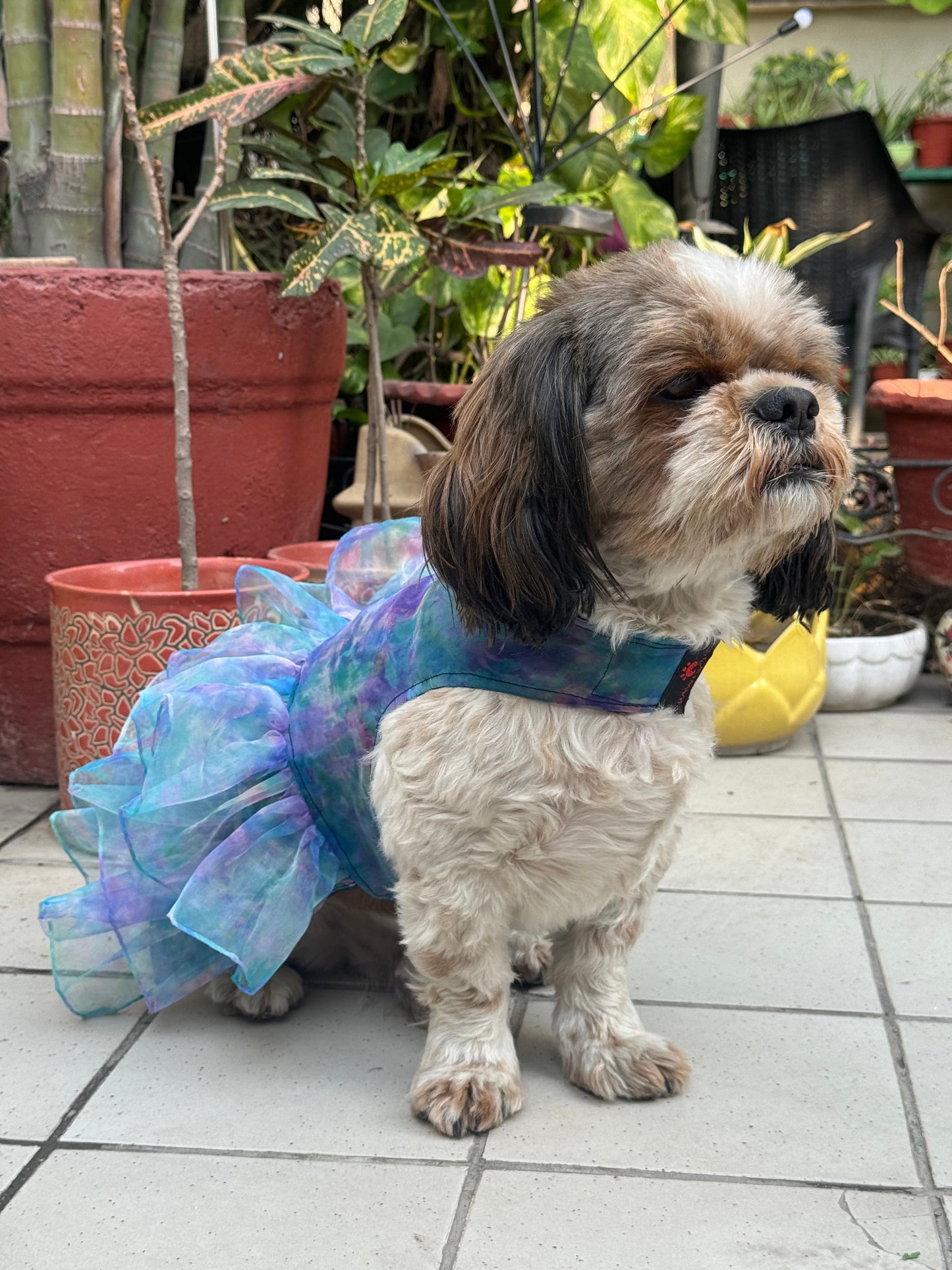 Pawgy Pets Frilly Dress Blue for Dogs