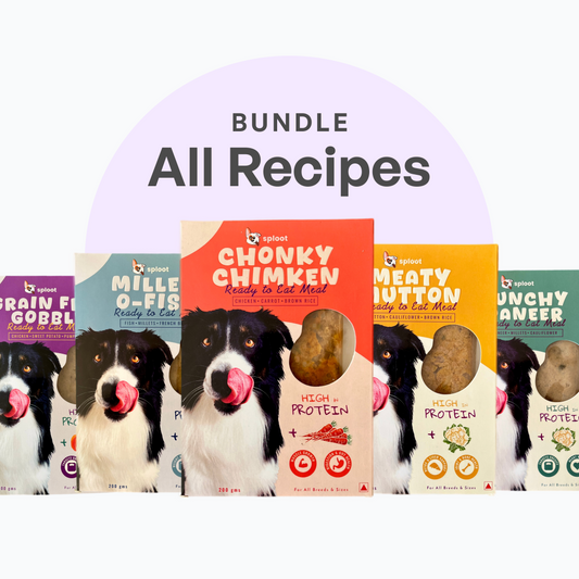 All Recipes Dog Food Plan
