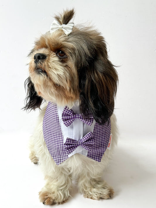 Pawgy Pets Casual Check Bandana: Purple for Dogs & Cats