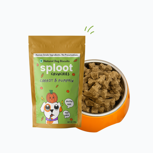 Carrot & Pumpkin Biscuits | Dog Treats
