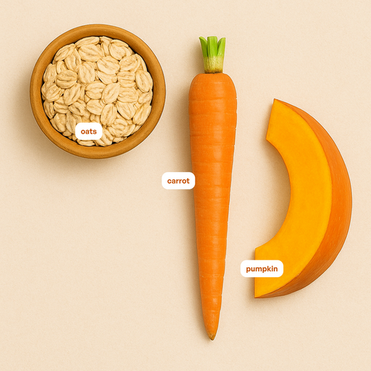 Carrot & Pumpkin Biscuits | Dog Treats