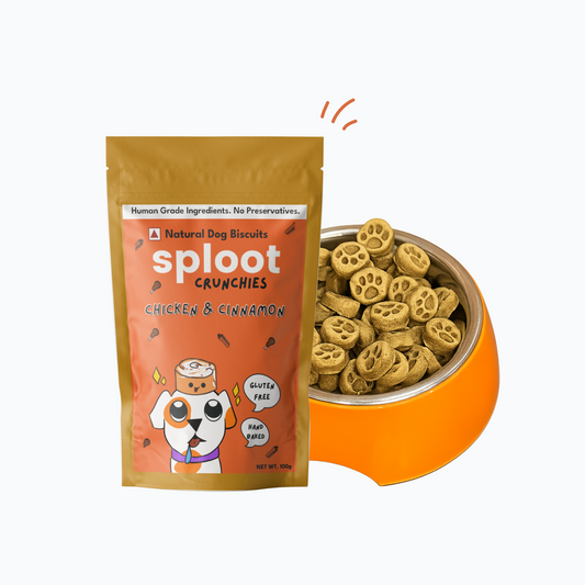 Chicken & Cinnamon Biscuits | Dog Treats