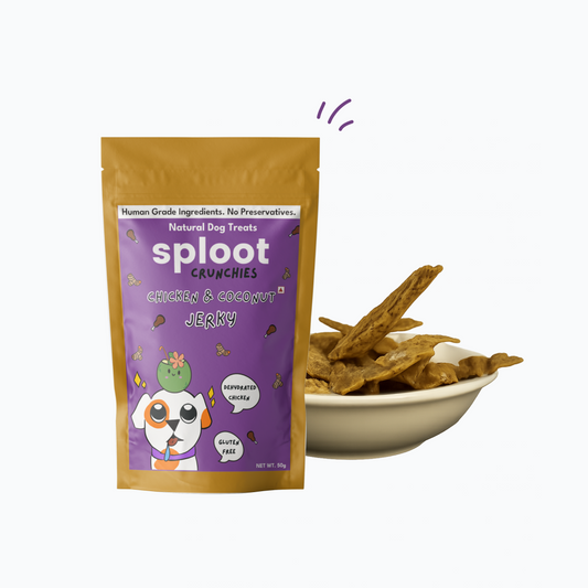 Chicken & Coconut Dog Jerky | Dog Treats