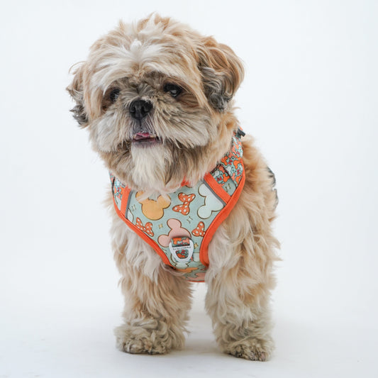 Pawgy Pets Padded Harness Mickey