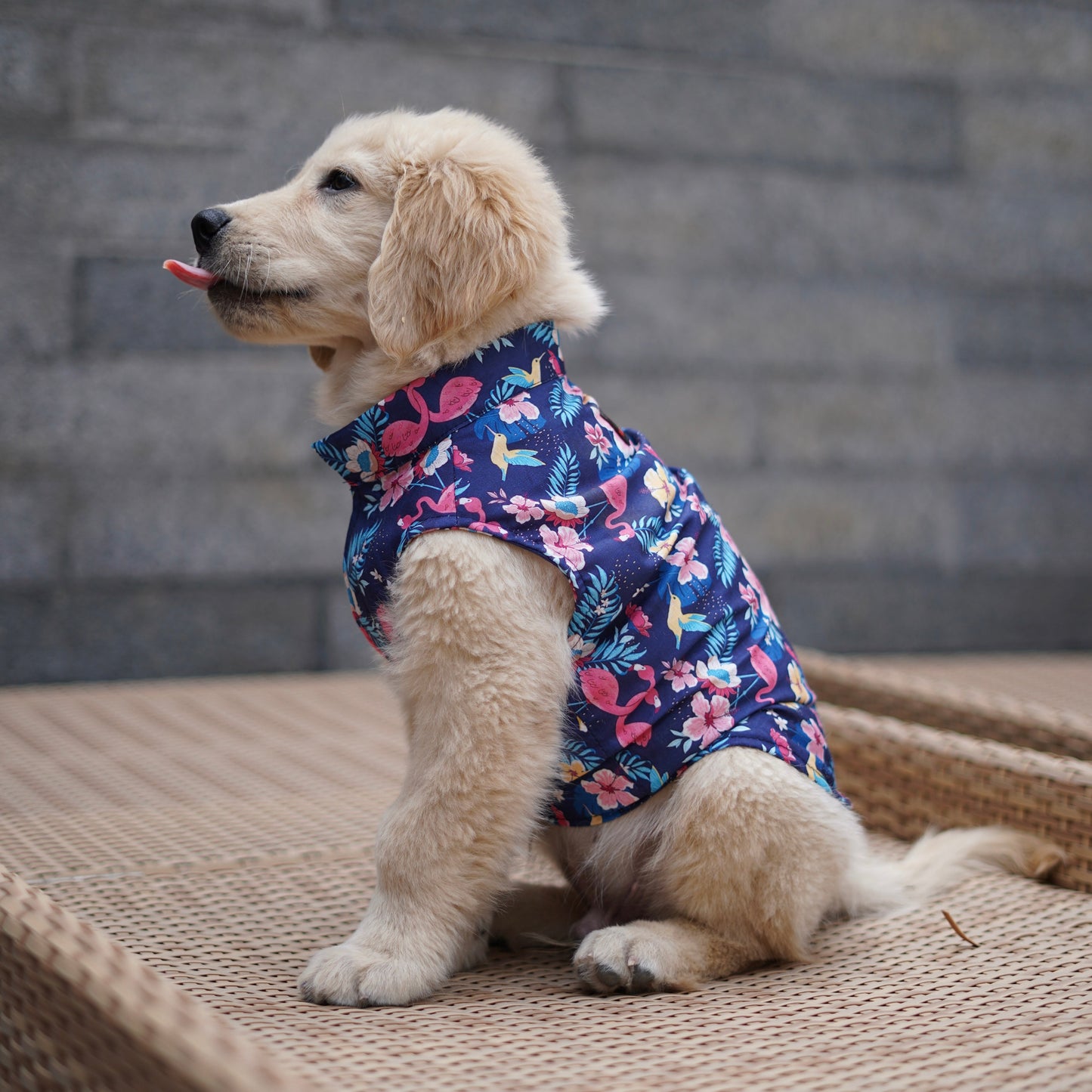 Pawgy Pets Hawaiian Flamingo sando navy blue for Dogs