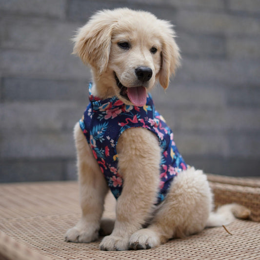 Pawgy Pets Hawaiian Flamingo sando navy blue for Dogs