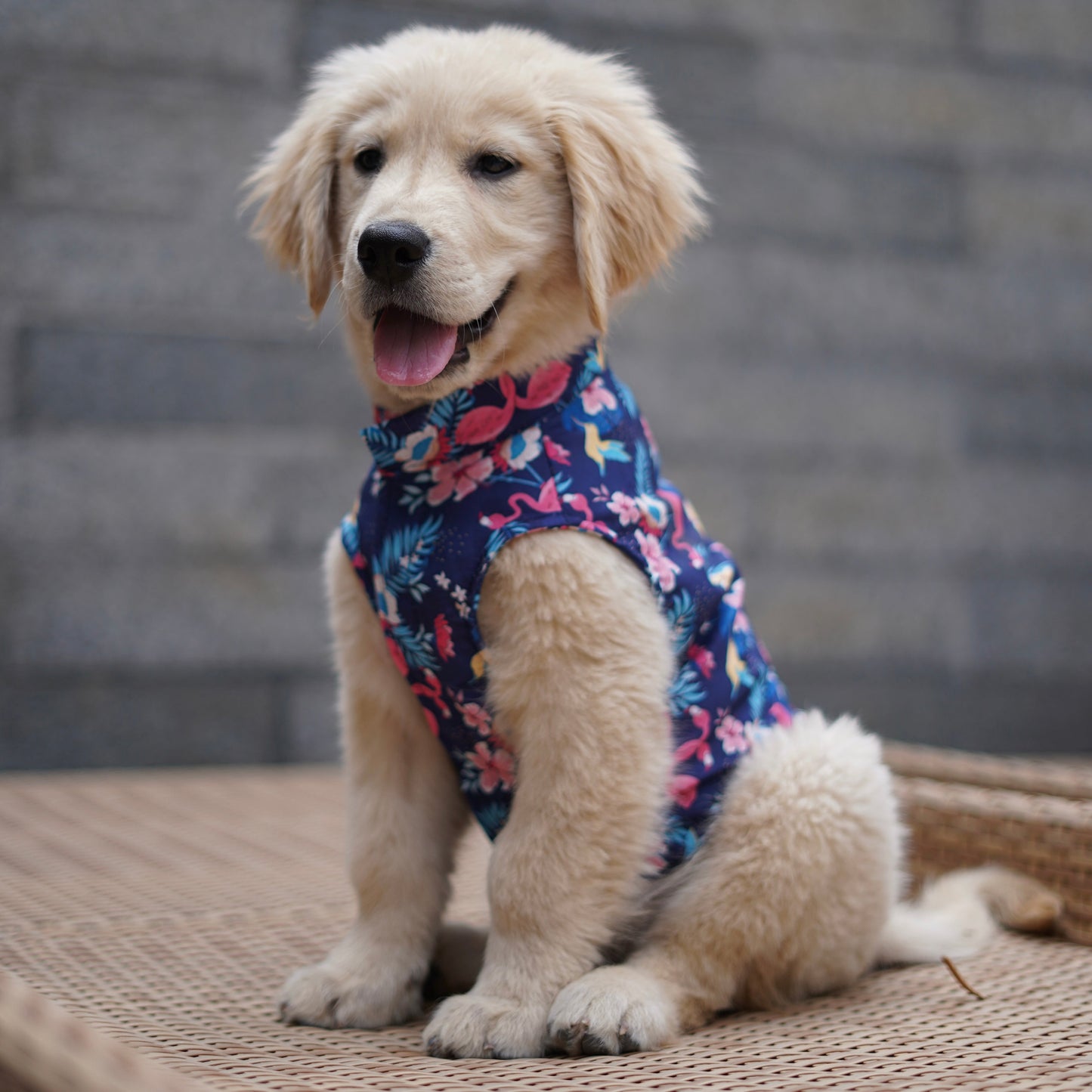Pawgy Pets Hawaiian Flamingo sando navy blue for Dogs