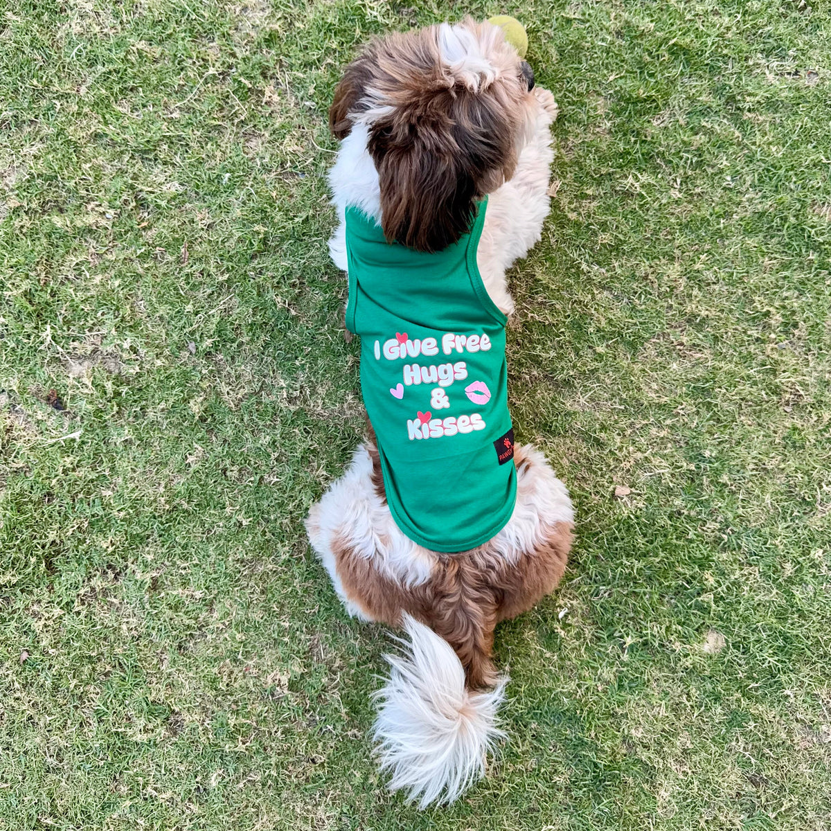 Pawgy Pets T-shirt Green “I give free hugs & kisses” for Dogs & Cats