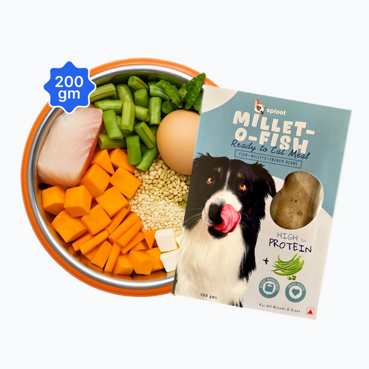 Millet O Fish Dog Food Plan