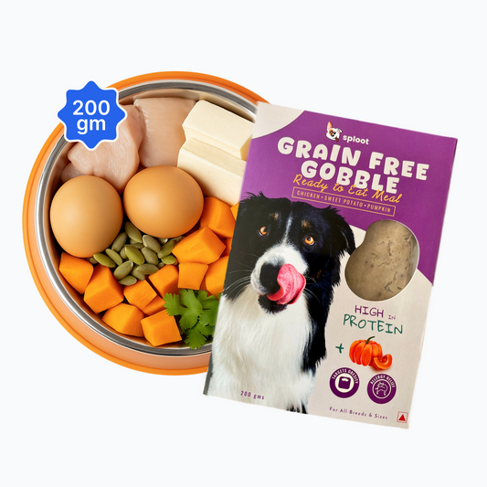Grain Free Gobble Dog Food Plan