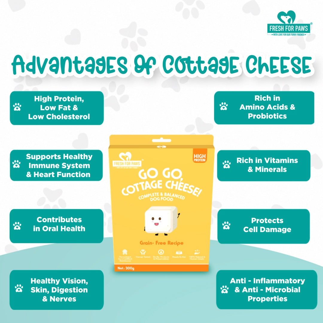 Go, Go, Cottage Cheese: Fresh Food by Fresh For Paws
