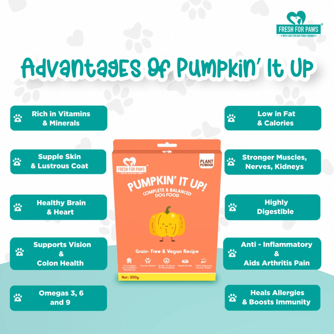 Pumpkin' It Up: Fresh Food by Fresh For Paws