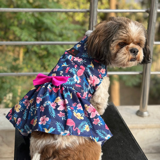 Pawgy Pets Hawaiian Flamingo dress navy blue for Dogs