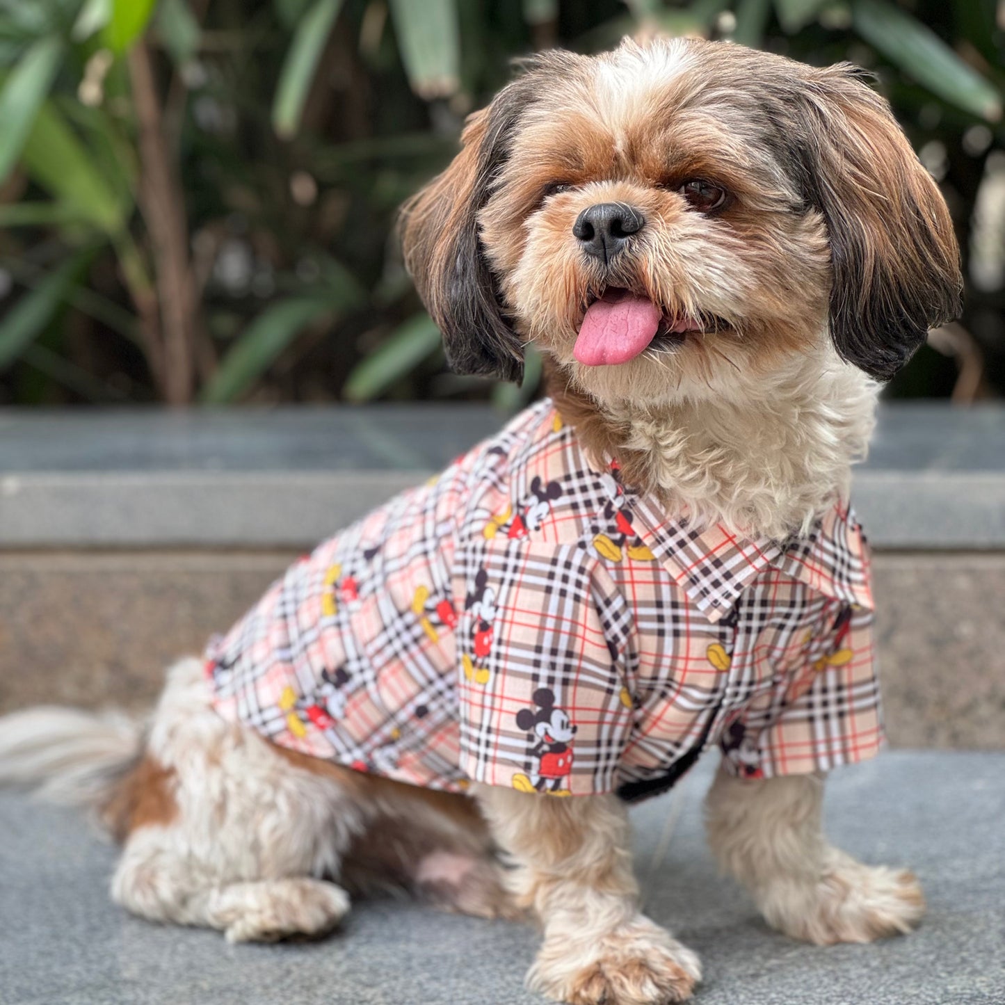 Pawgy Pets Mickey Check Shirt Beige for Dogs