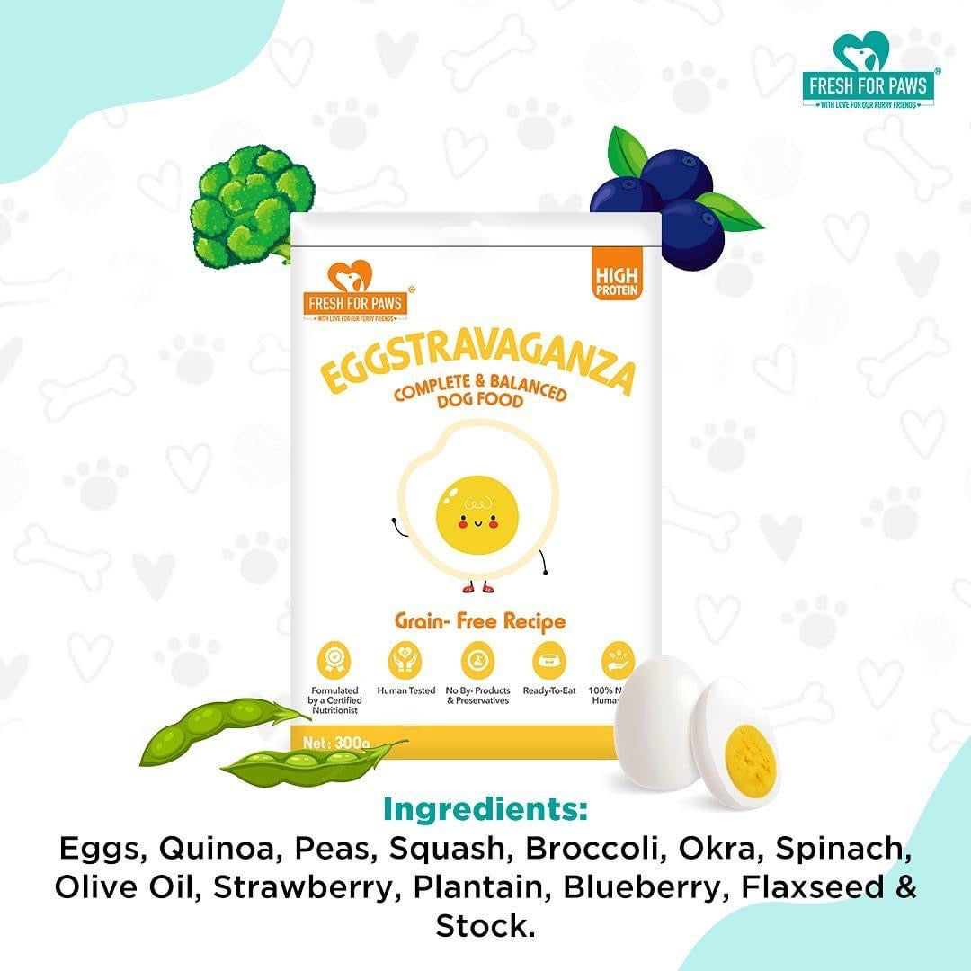 Eggstravaganza: Fresh Food by Fresh For Paws