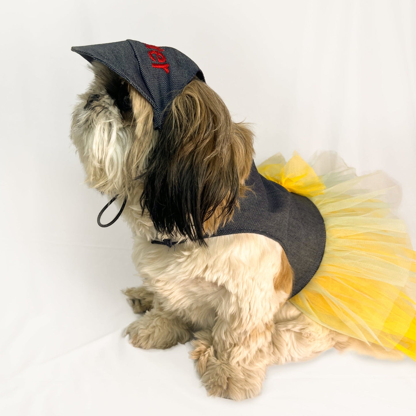 Pawgy Pets Denim Frill Dress for Dogs