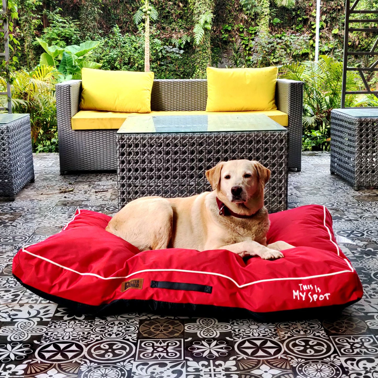 Waterproof Cushion Mattress - Cherry Red