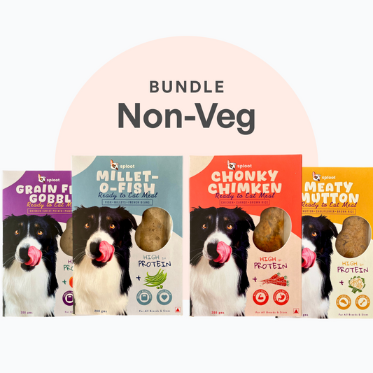 Non-Veg Extravaganza Dog Food Plan