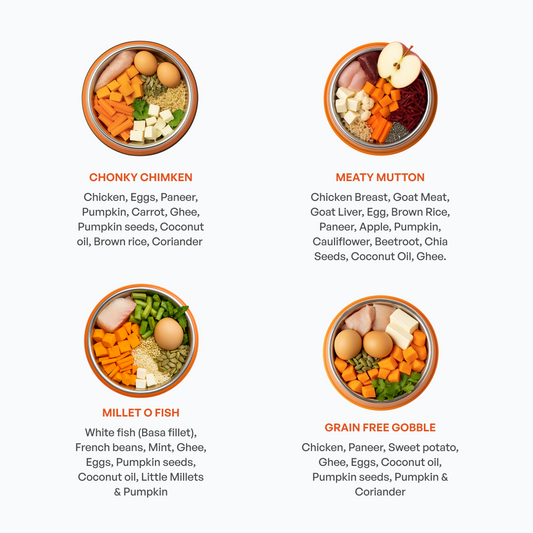 Non-Veg Extravaganza Dog Food Plan