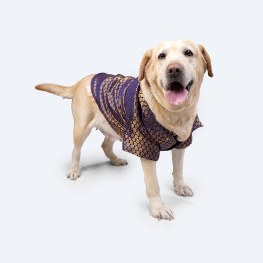 Pawgy Pets Occasion wear Shirt Navy Blue for Dogs