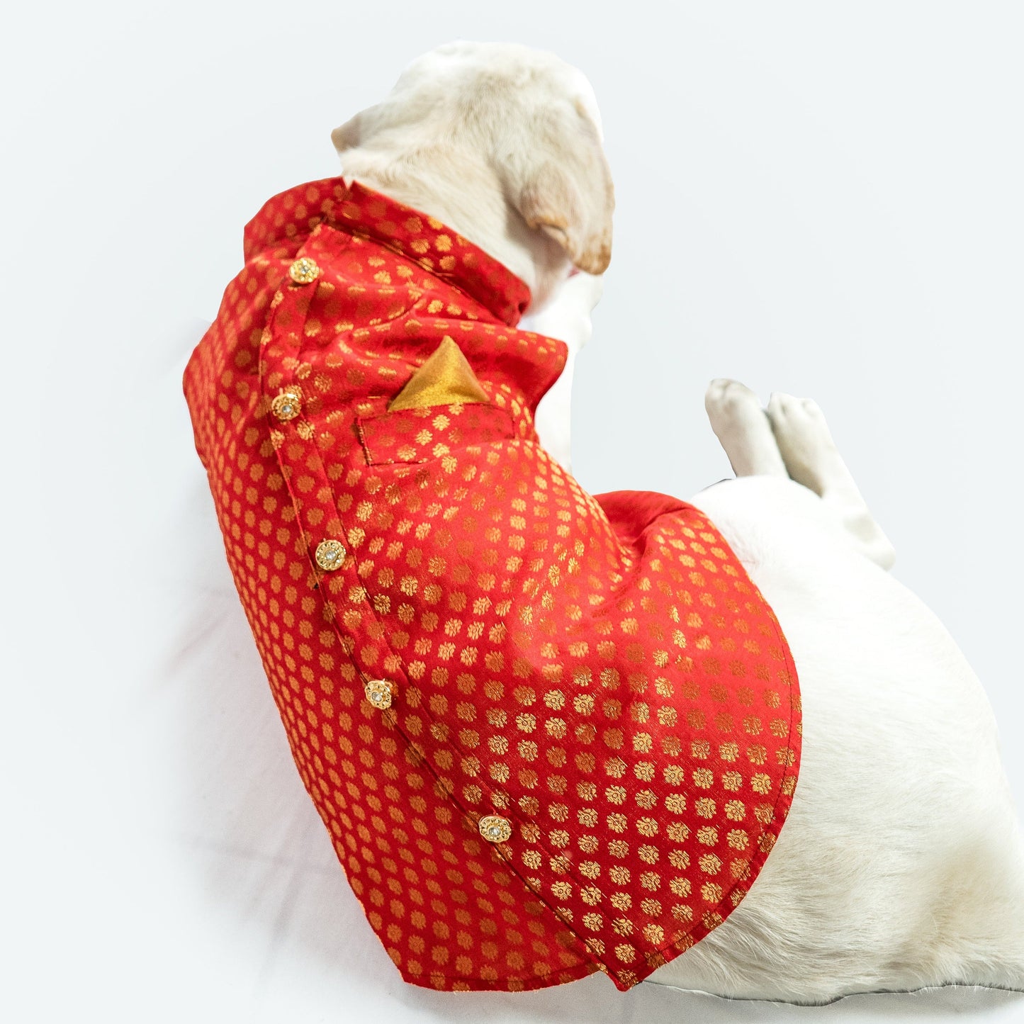 Pawgy Pets Sherwani Red for Dogs