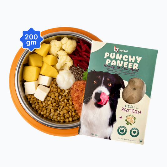 Punchy Paneer Dog Food Plan